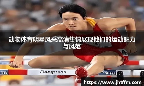 k1体育官方网站